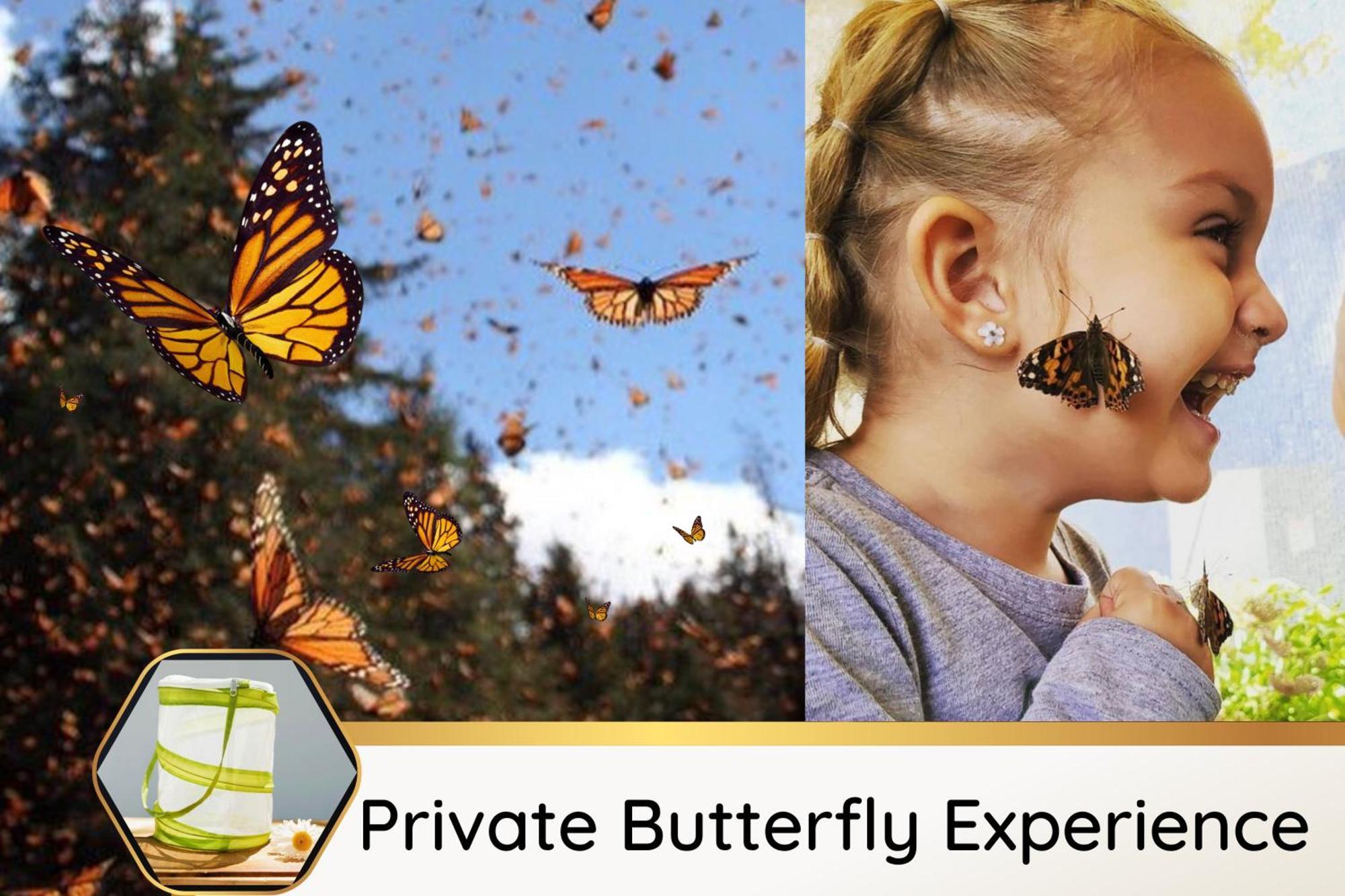 Butterfly Themed Kings Apartment With Private Garage & Access To Lux Hot Tub, Bbq & Gym South Jordan Exterior foto